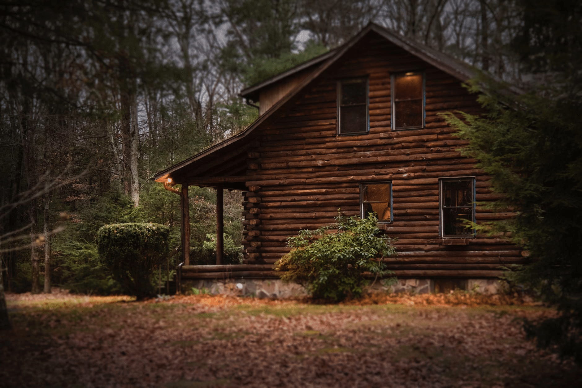 Wooden Cottage In The Woods